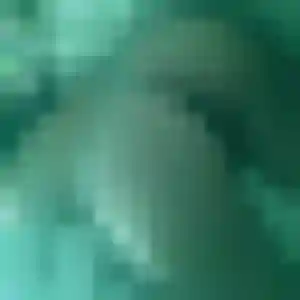 Photo sexy de Zelda, 27 ans à Sénas - rencontre sans lendemain