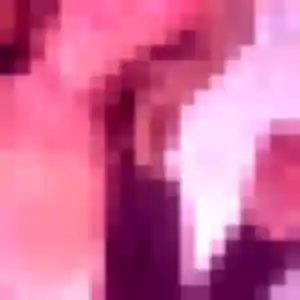 Rejoins Wahiba, 37 ans à Toulouse en privé