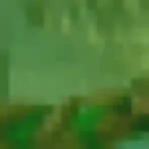 Photo privée de Anne-Marie, 28 ans à Vallauris - rencontre sans lendemain