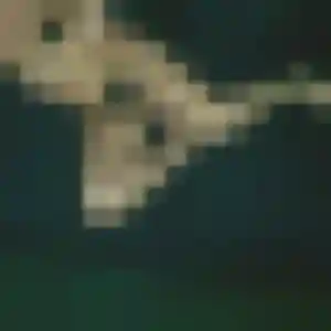 Photo de Paloma à Vedène (41 ans) - rencontre adulte gratuit