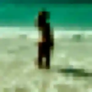 Photo de Wendy à Veynes (28 ans) - rencontre adulte sans inscription