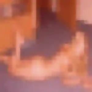 Phoebe, 25 ans, connectée à Vic-en-Bigorre pour un rencontre adulte