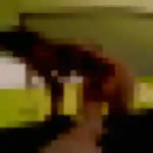 Profil de Pascale à Villelaure (37 ans) - rencontre adulte gratuit