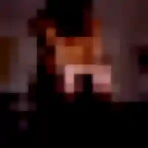 Cindy, 23 ans, cherche un rencontre adulte à Villers-le-Lac