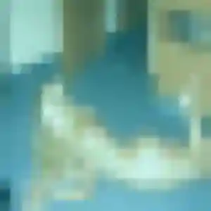 Angelique, 26 ans, dispo pour rencontre adulte à Vrigne aux Bois